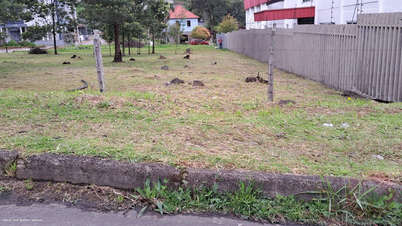 Terreno, 529 m² - Foto 3
