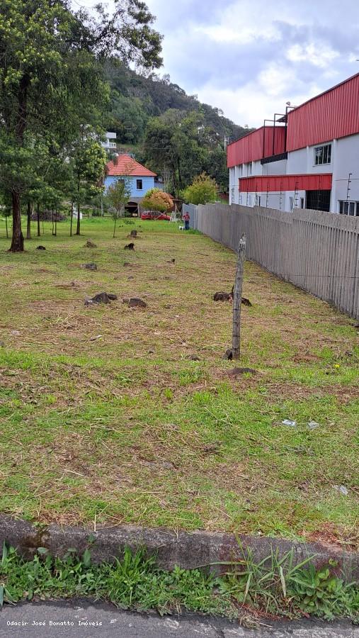 Terreno, 529 m² - Foto 4