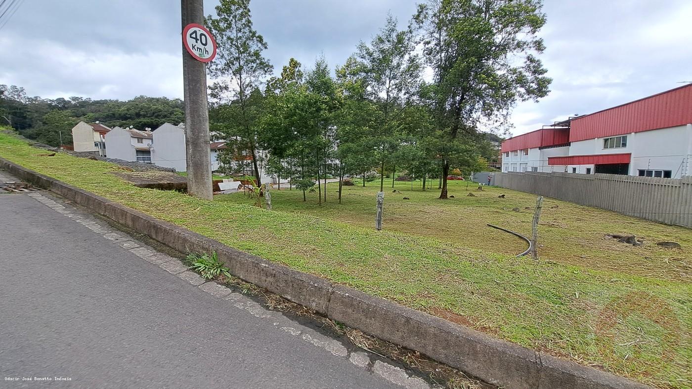 Terreno, 503 m² - Foto 3