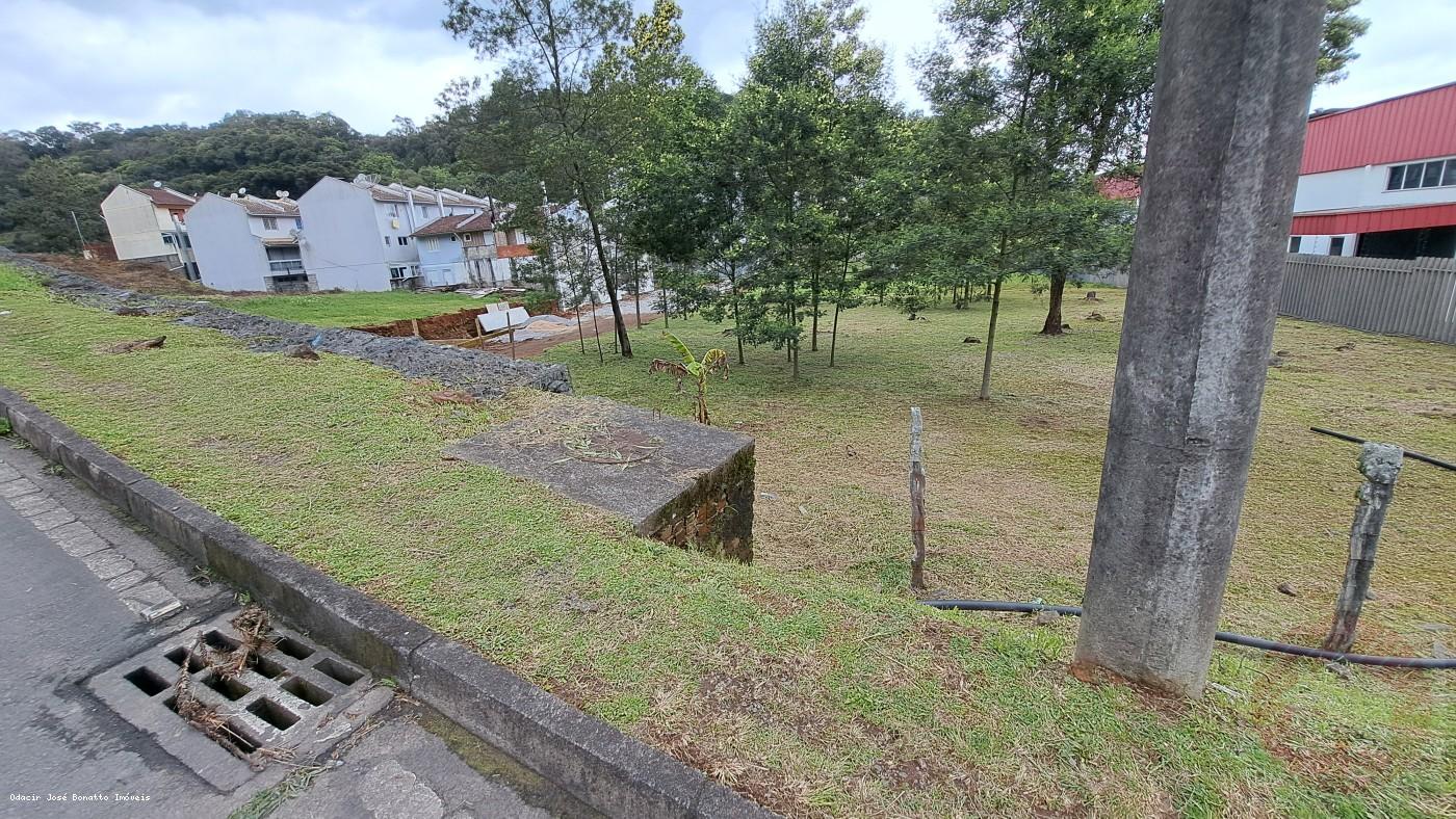 Terreno, 503 m² - Foto 5