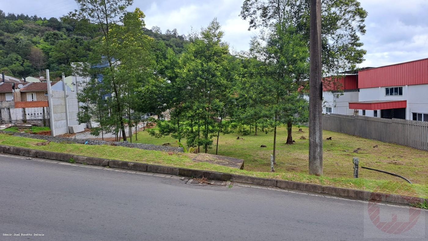 Terreno, 503 m² - Foto 7
