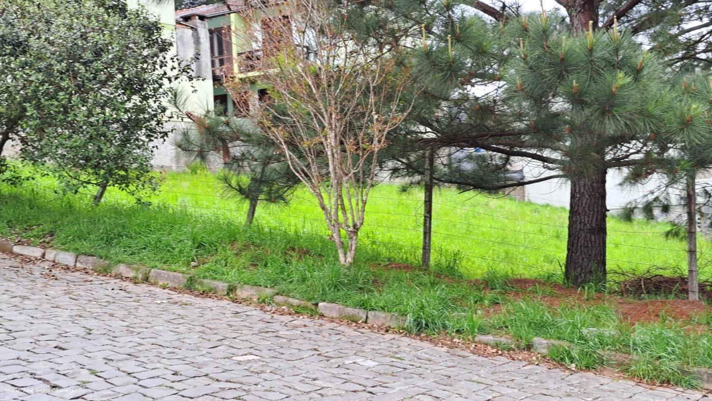 Terreno, 360 m² - Foto 3
