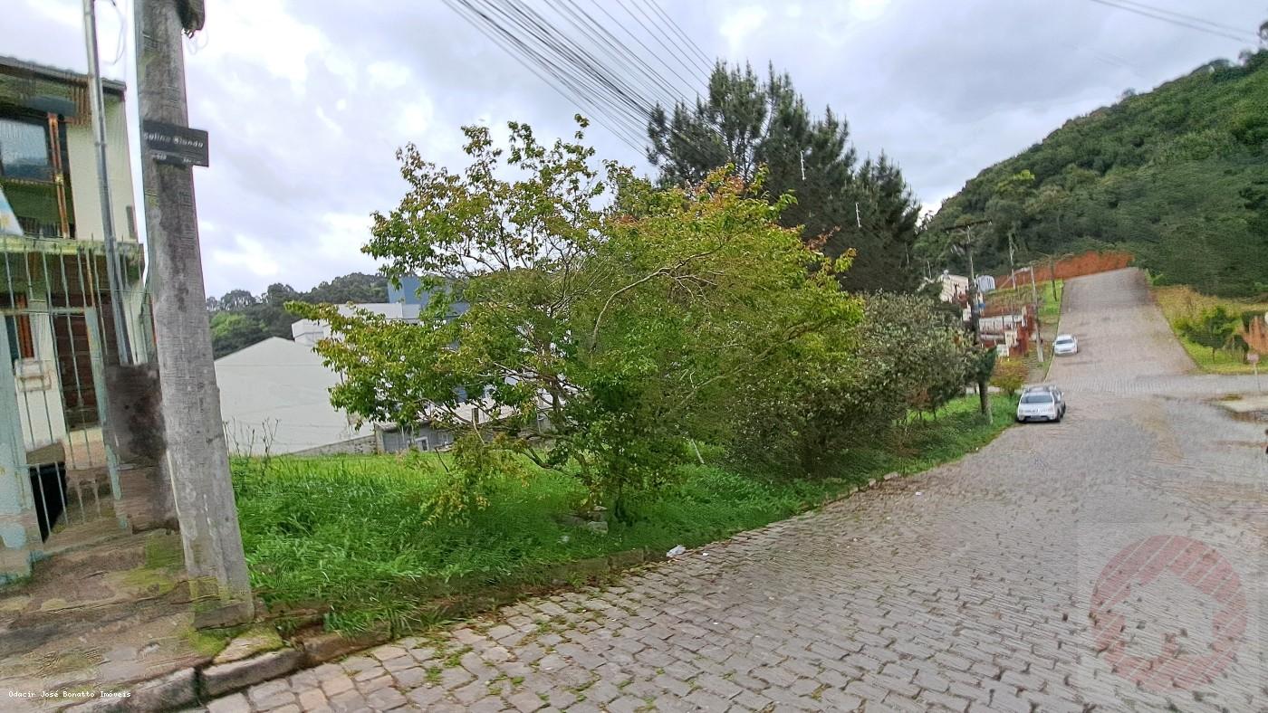 Terreno, 360 m² - Foto 5