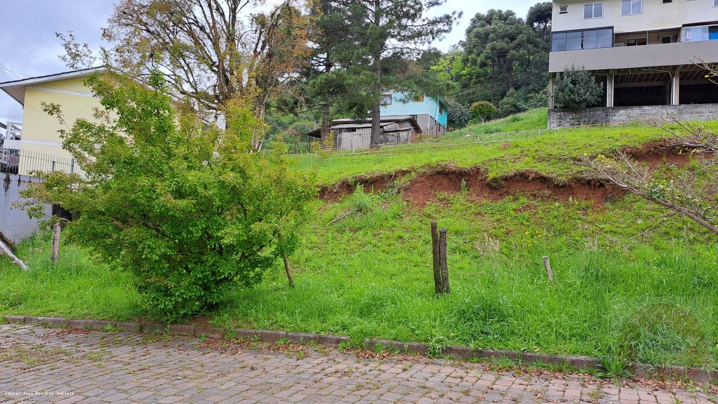 Terreno, 541 m² - Foto 2