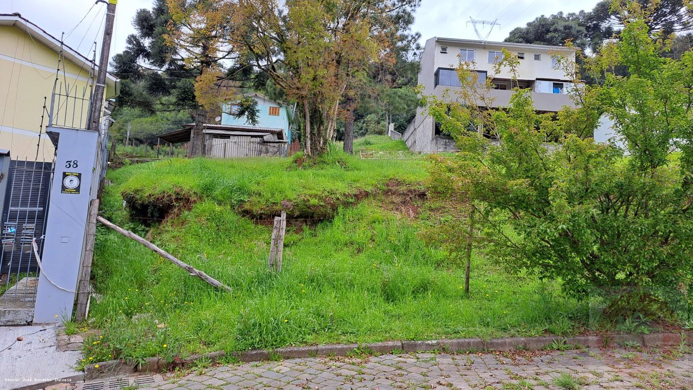 Terreno, 541 m² - Foto 3