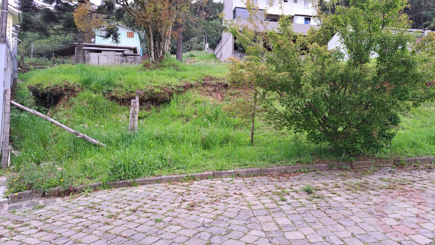 Terreno, 541 m² - Foto 4
