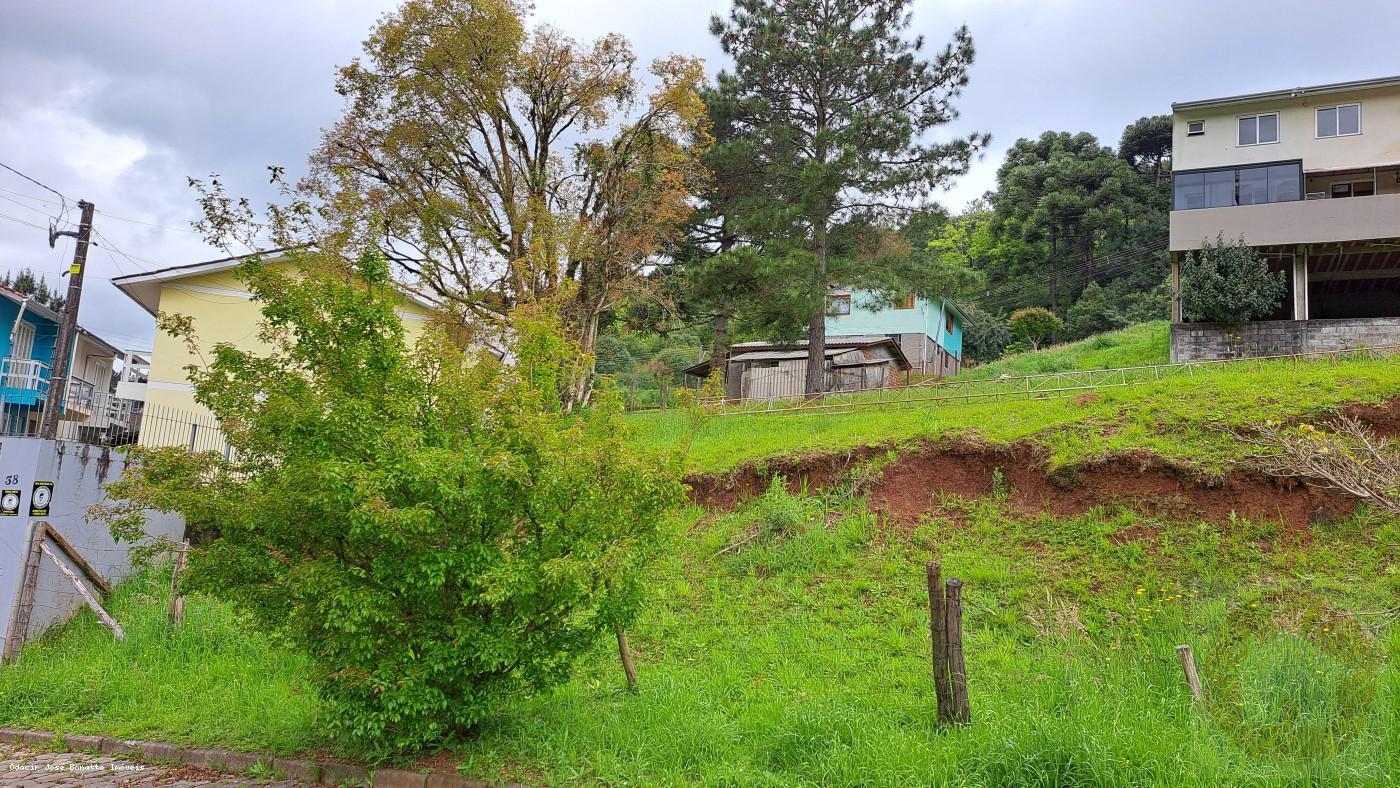 Terreno, 541 m² - Foto 6