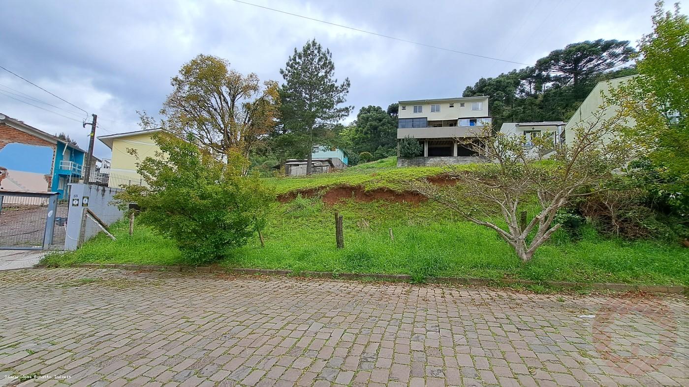 Terreno, 541 m² - Foto 7