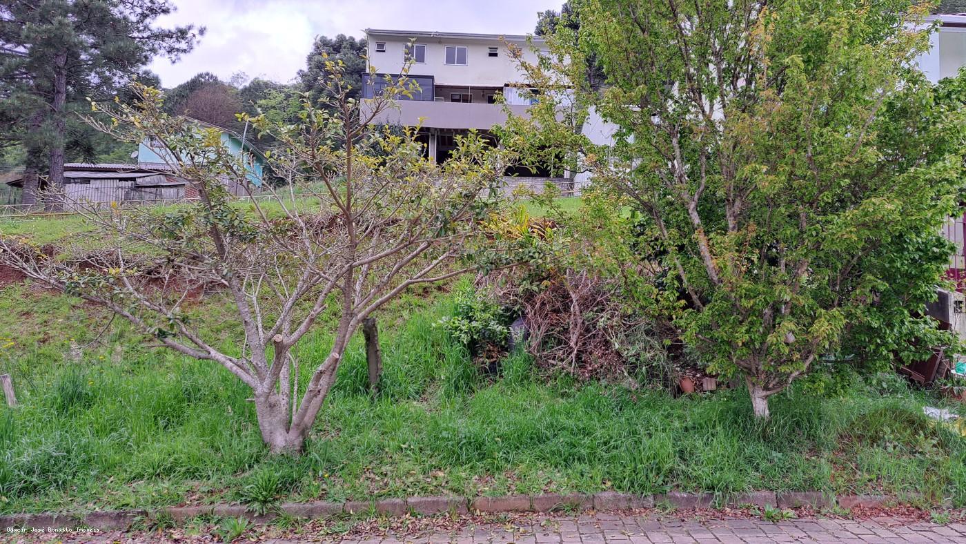 Terreno, 360 m² - Foto 3