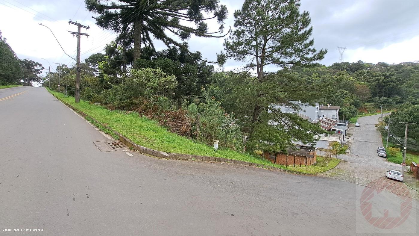 Terreno, 516 m² - Foto 3
