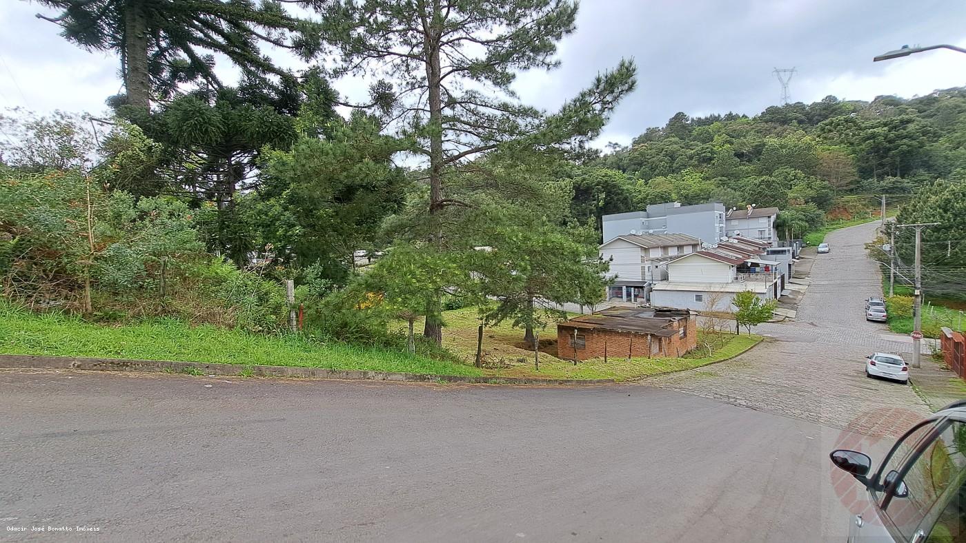 Terreno, 516 m² - Foto 5