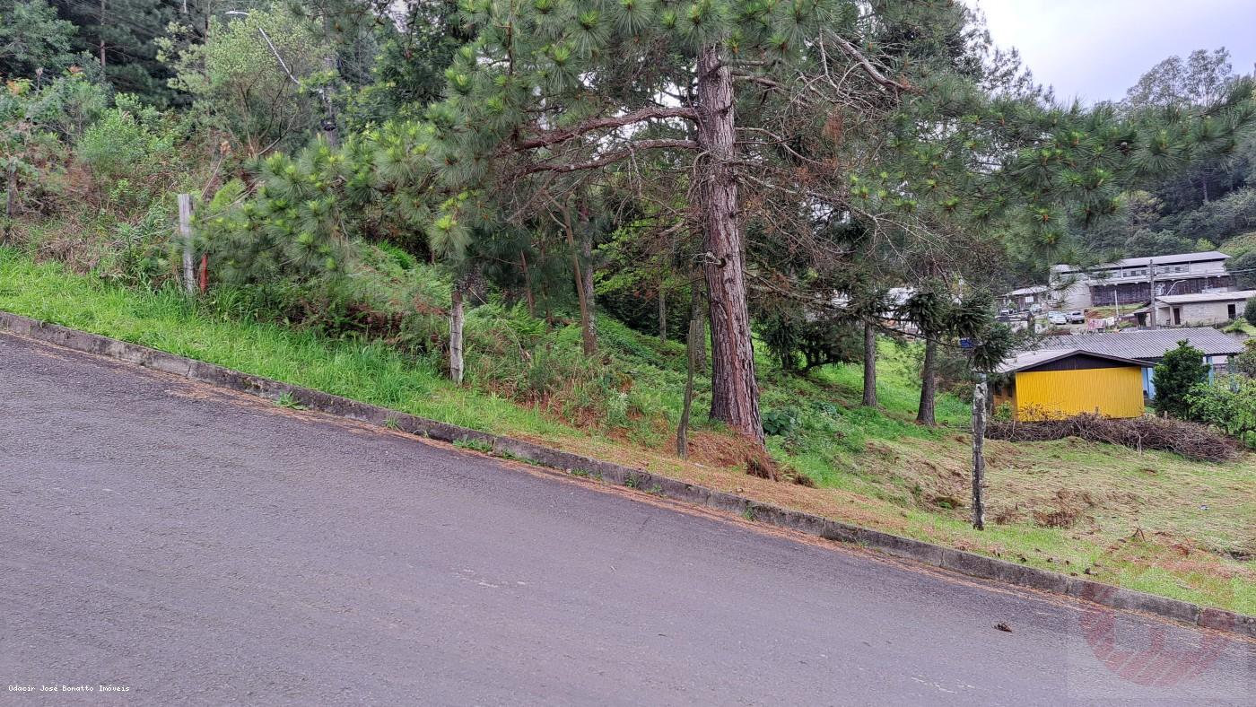 Terreno, 516 m² - Foto 6