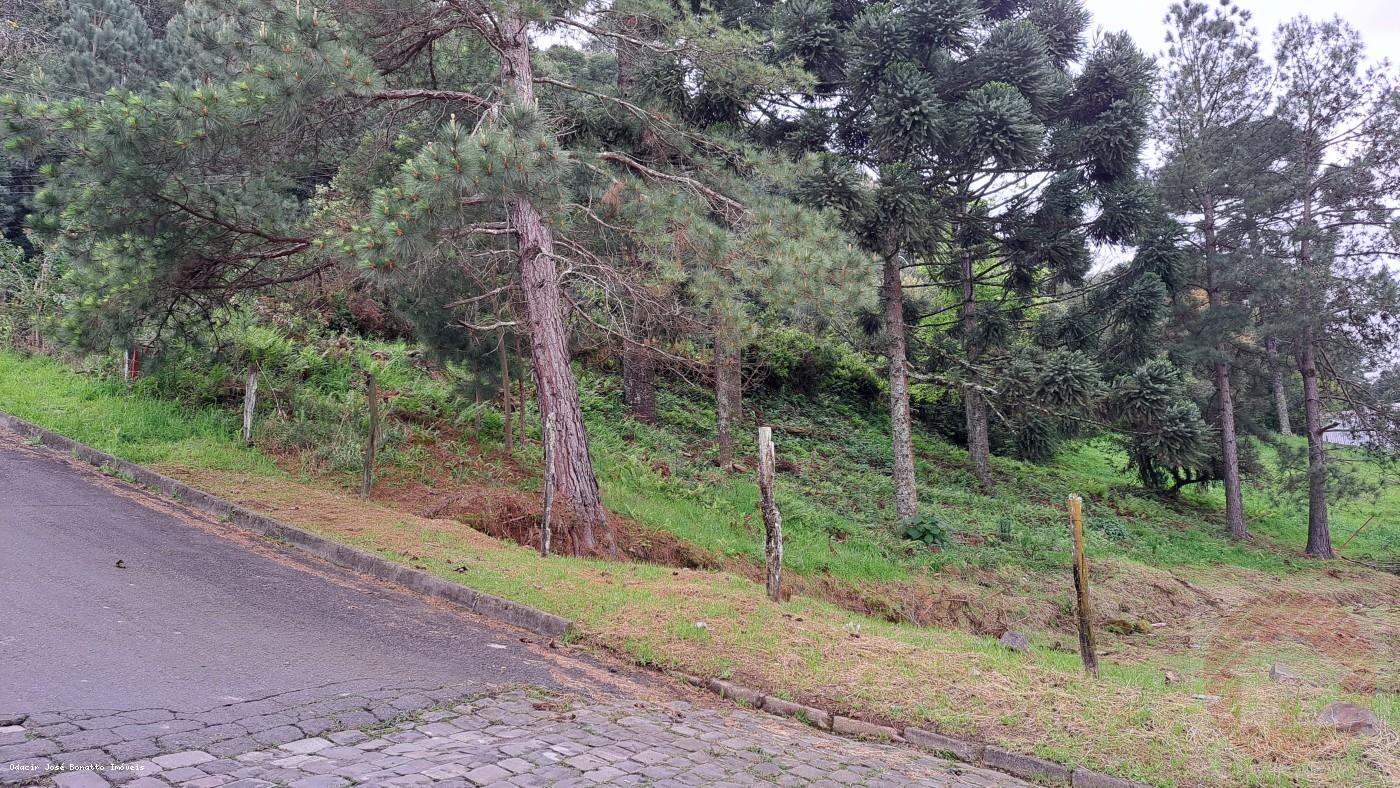 Terreno, 422 m² - Foto 2