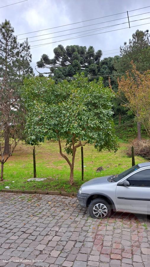 Terreno, 418 m² - Foto 6